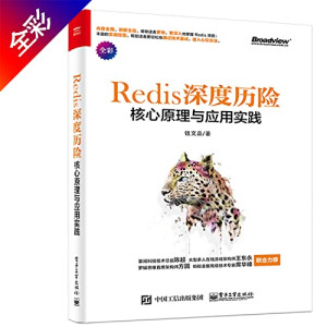 Redis深度历险：核心原理与应用实践